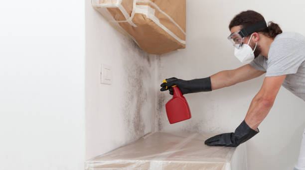 Professional Basement Mold Removal technician working in Hasbrouck Heights, NJ
