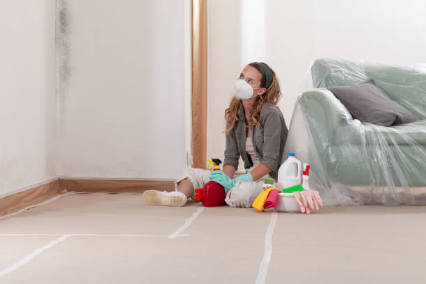 Reliable Basement Mold Removal contractor in Hasbrouck Heights, NJ by WQB Mold Removal